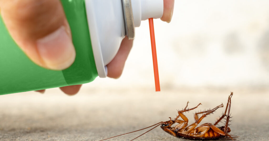 Best Cockroaches Control service for Your Home and Office