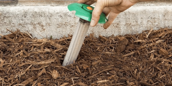 Termite-Baiting-Method